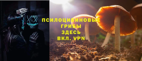 прущие грибы Алзамай