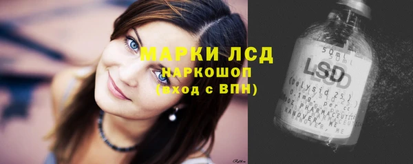 крисы Абаза