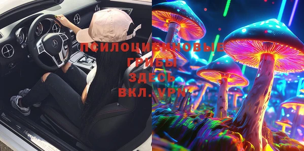 трава Абинск