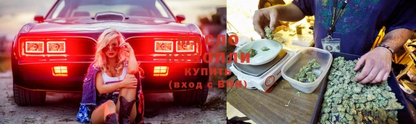 трава Абинск
